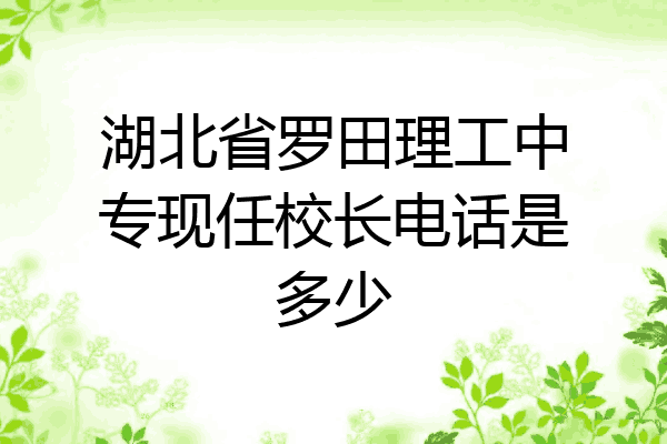 湖北省罗田理工中专现任校长电话是多少