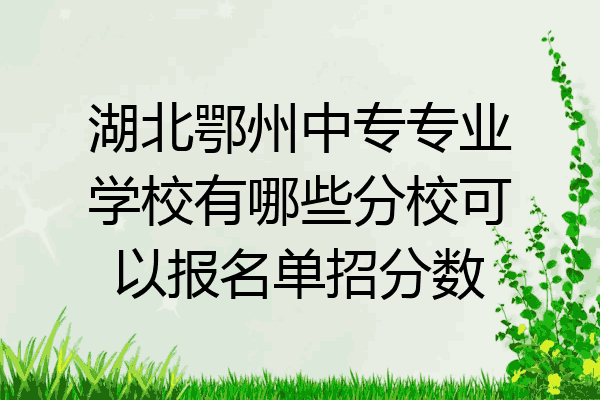 湖北鄂州中专专业学校有哪些分校可以报名单招分数