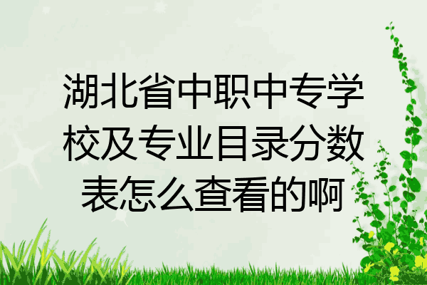 湖北省中职中专学校及专业目录分数表怎么查看的啊