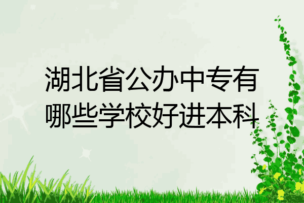 湖北省公办中专有哪些学校好进本科