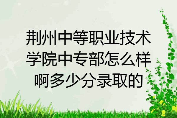 荆州中等职业技术学院中专部怎么样啊多少分录取的