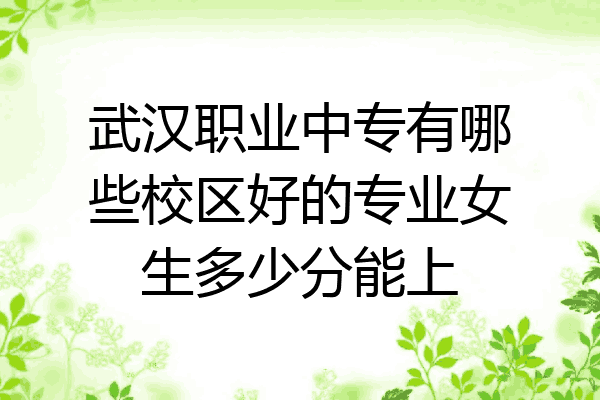 武汉职业中专有哪些校区好的专业女生多少分能上