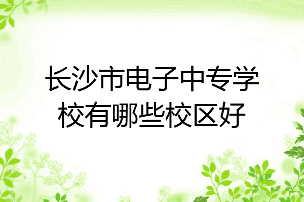 长沙市电子中专学校有哪些校区好