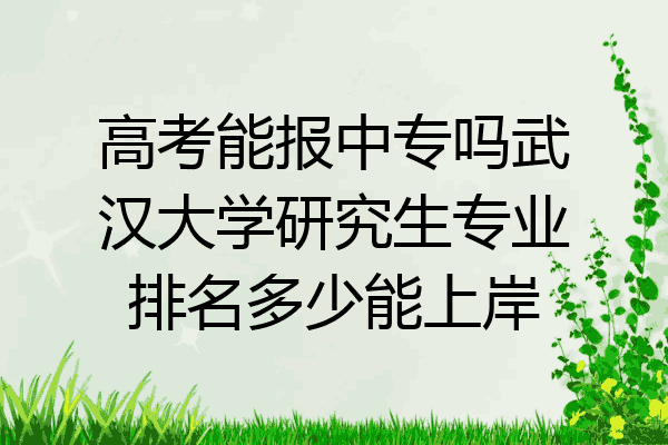 高考能报中专吗武汉大学研究生专业排名多少能上岸