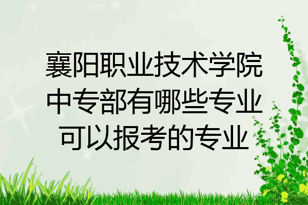 襄阳职业技术学院中专部有哪些专业可以报考的专业