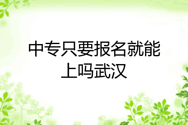 中专只要报名就能上吗武汉