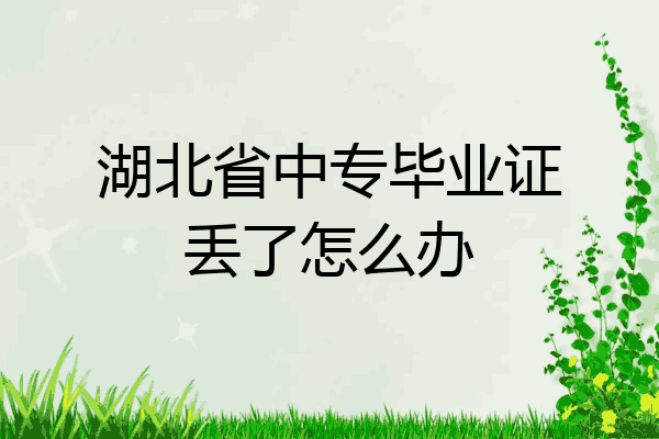 湖北省中专毕业证丢了怎么办