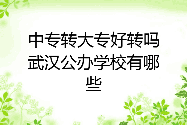 中专转大专好转吗武汉公办学校有哪些