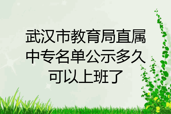 武汉市教育局直属中专名单公示多久可以上班了