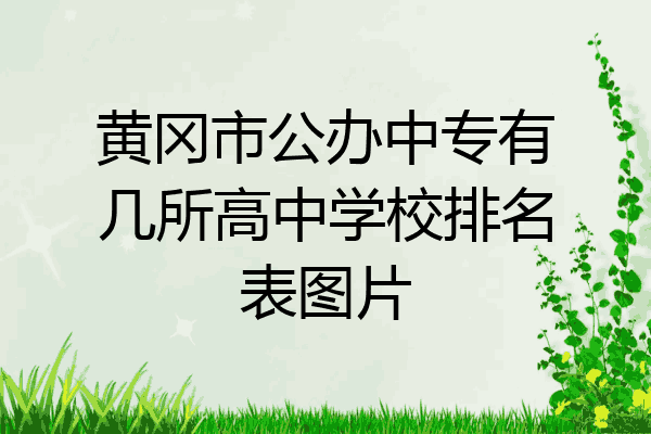 黄冈市公办中专有几所高中学校排名表图片