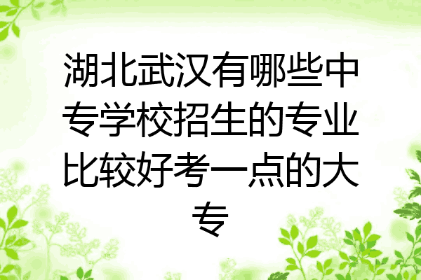 湖北武汉有哪些中专学校招生的专业比较好考一点的大专