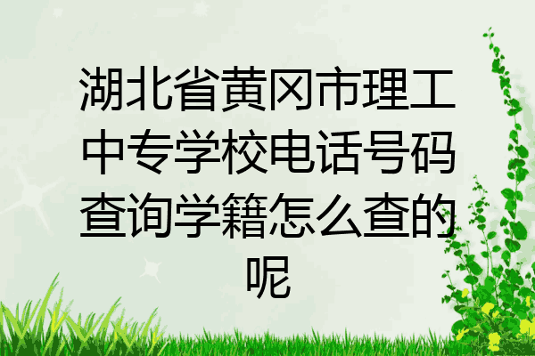 湖北省黄冈市理工中专学校电话号码查询学籍怎么查的呢