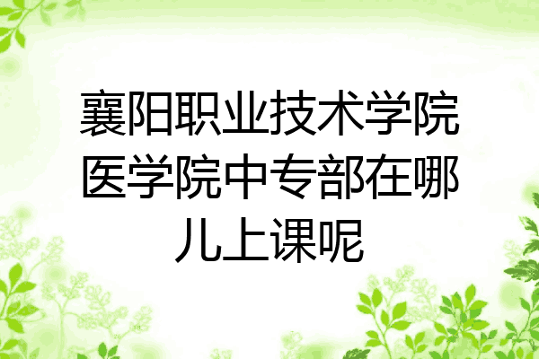襄阳职业技术学院医学院中专部在哪儿上课呢