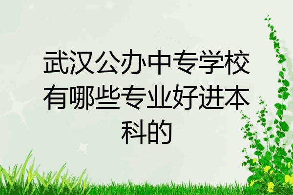 武汉公办中专学校有哪些专业好进本科的
