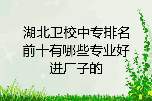 湖北卫校中专排名前十有哪些专业好进厂子的