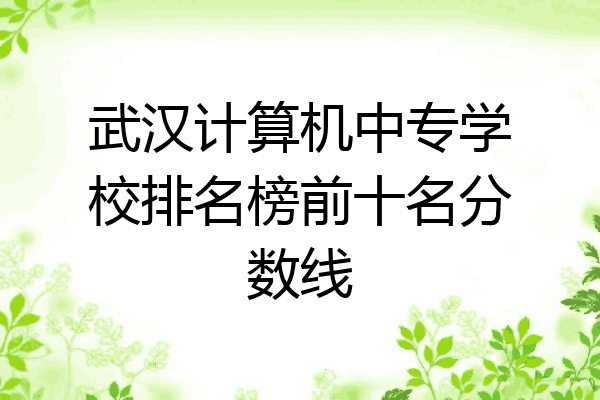 武汉计算机中专学校排名榜前十名分数线