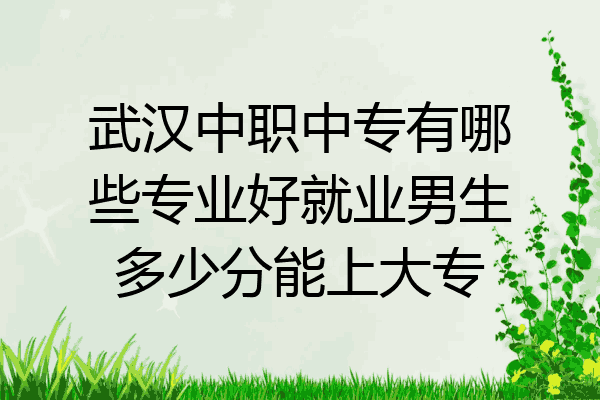 武汉中职中专有哪些专业好就业男生多少分能上大专
