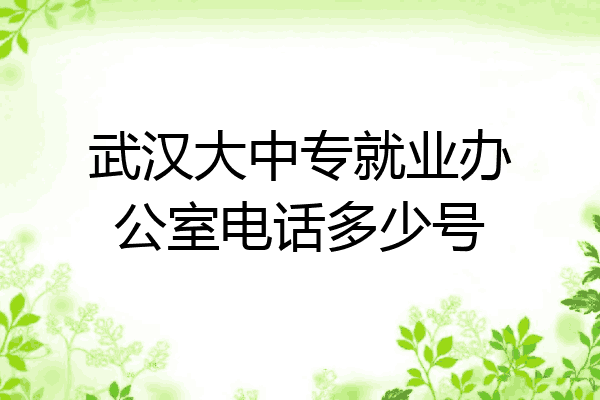 武汉大中专就业办公室电话多少号