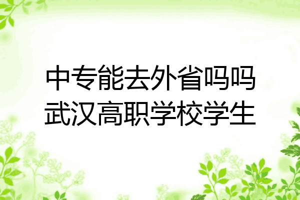 中专能去外省吗吗武汉高职学校学生