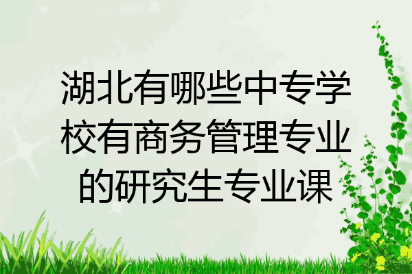 湖北有哪些中专学校有商务管理专业的研究生专业课