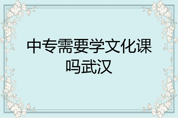 中专需要学文化课吗武汉