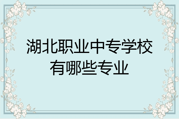 湖北职业中专学校有哪些专业