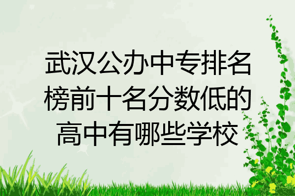 武汉公办中专排名榜前十名分数低的高中有哪些学校