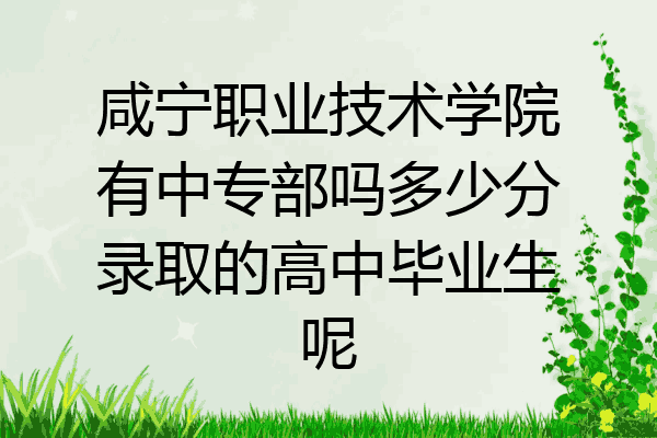 咸宁职业技术学院有中专部吗多少分录取的高中毕业生呢