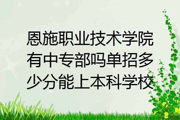 恩施职业技术学院有中专部吗单招多少分能上本科学校