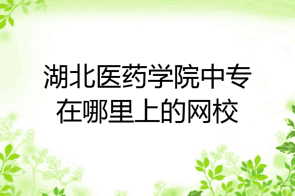 湖北医药学院中专在哪里上的网校