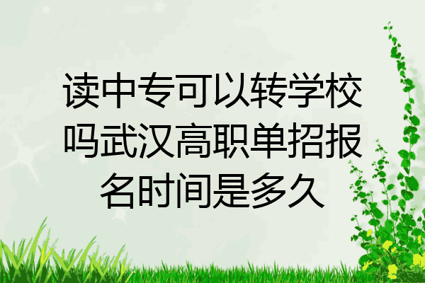 读中专可以转学校吗武汉高职单招报名时间是多久