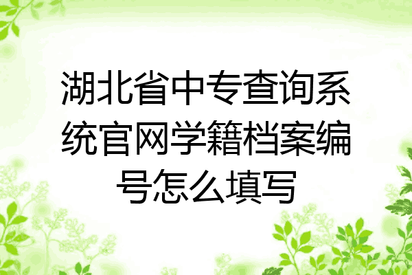 湖北省中专查询系统官网学籍档案编号怎么填写
