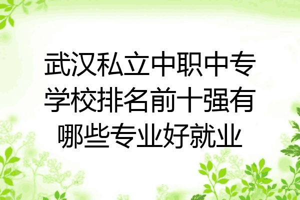 武汉私立中职中专学校排名前十强有哪些专业好就业