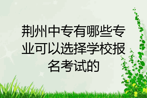荆州中专有哪些专业可以选择学校报名考试的