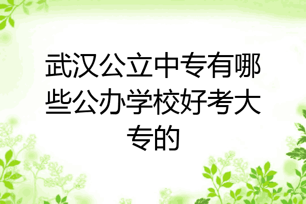 武汉公立中专有哪些公办学校好考大专的