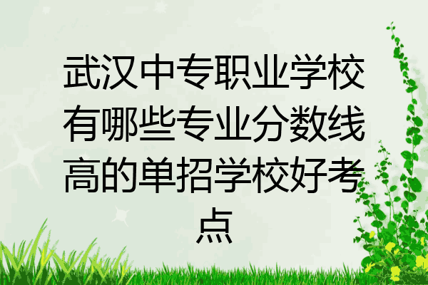 武汉中专职业学校有哪些专业分数线高的单招学校好考点