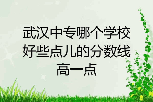 武汉中专哪个学校好些点儿的分数线高一点