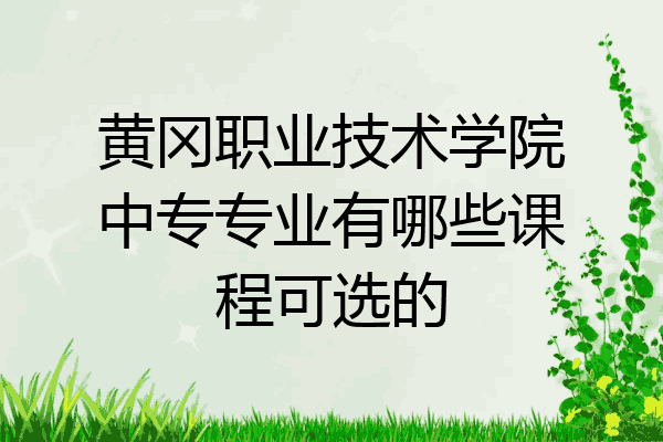 黄冈职业技术学院中专专业有哪些课程可选的