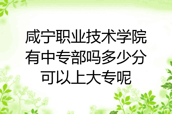 咸宁职业技术学院有中专部吗多少分可以上大专呢