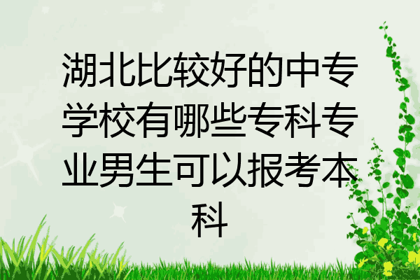 湖北比较好的中专学校有哪些专科专业男生可以报考本科