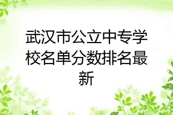武汉市公立中专学校名单分数排名最新
