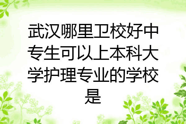 武汉哪里卫校好中专生可以上本科大学护理专业的学校是