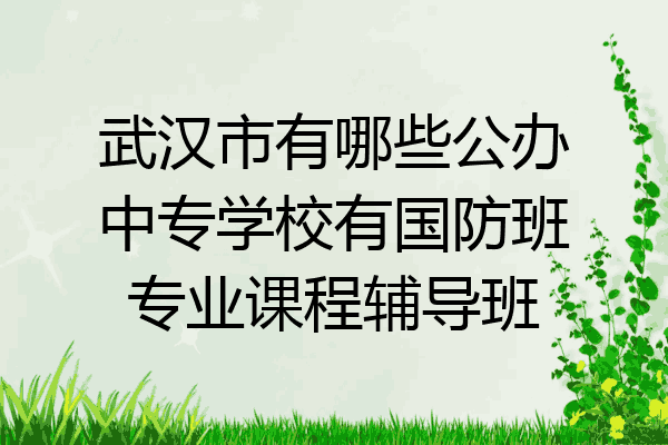 武汉市有哪些公办中专学校有国防班专业课程辅导班