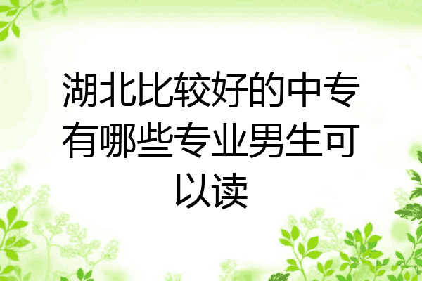 湖北比较好的中专有哪些专业男生可以读