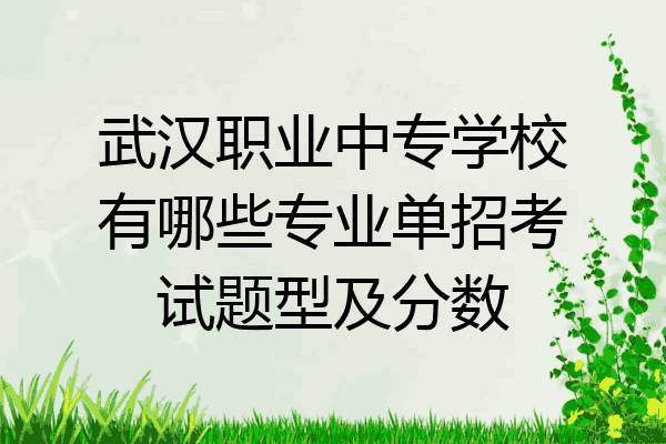 武汉职业中专学校有哪些专业单招考试题型及分数