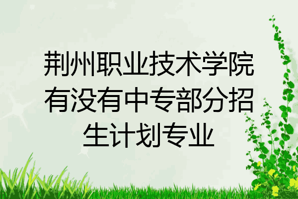 荆州职业技术学院有没有中专部分招生计划专业