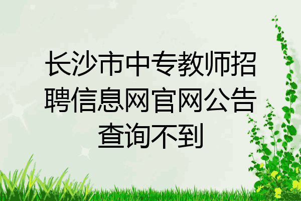 长沙市中专教师招聘信息网官网公告查询不到