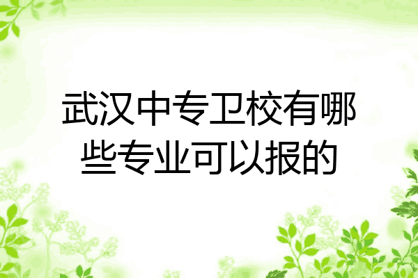 武汉中专卫校有哪些专业可以报的