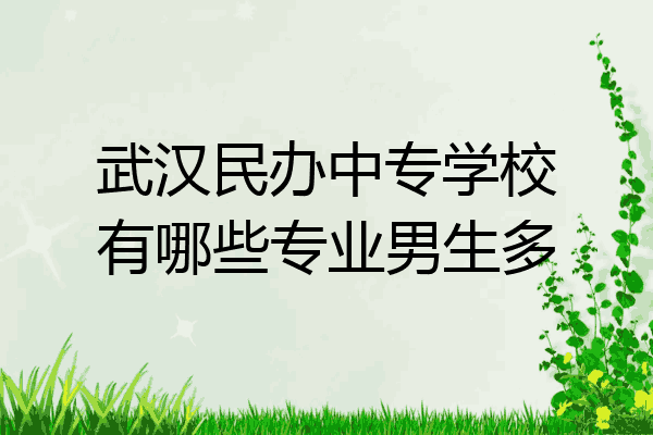 武汉民办中专学校有哪些专业男生多
