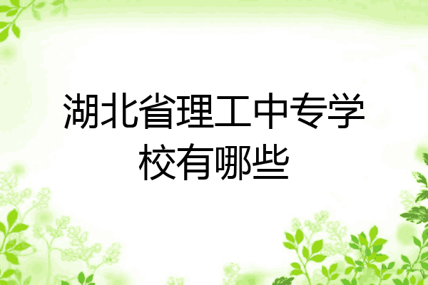 湖北省理工中专学校有哪些